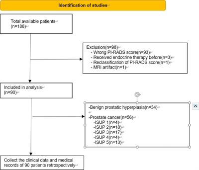 Study of iron metabolism based on T2* mapping sequences in PI-RADS 3 prostate lesions